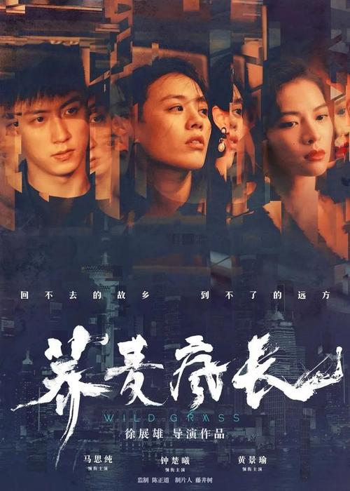 哪里能买到奎恩斯大学毕业证
